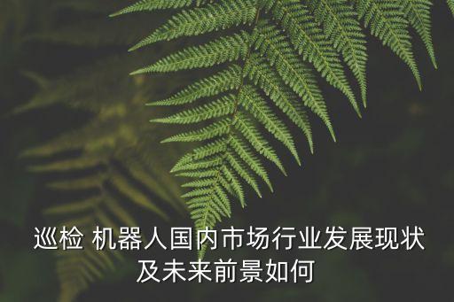 國自 智能巡檢機(jī)器人,智能巡檢機(jī)器人排名