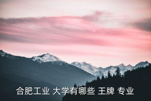 合肥工業(yè) 大學(xué)有哪些 王牌 專業(yè)