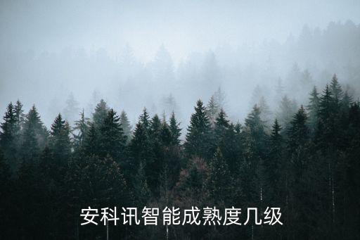  安科訊智能成熟度幾級(jí)