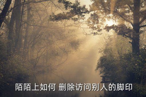  陌陌上如何 刪除訪問(wèn)別人的腳印