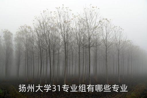 揚大電氣及其自動化,揚州大學有哪些專業(yè)?