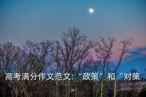 高考滿分作文范文:“政策”和“對策”