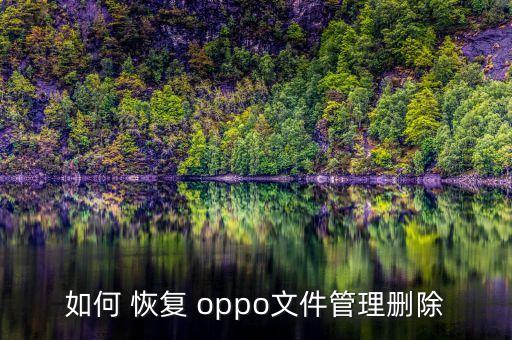 如何 恢復(fù) oppo文件管理刪除