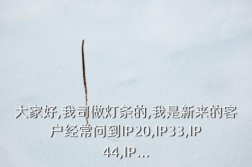 大家好,我司做燈條的,我是新來的客戶經(jīng)常問到IP20,IP33,IP44,IP...