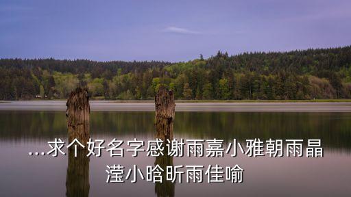 ...求個(gè)好名字感謝雨嘉小雅朝雨晶瀅小晗昕雨佳喻