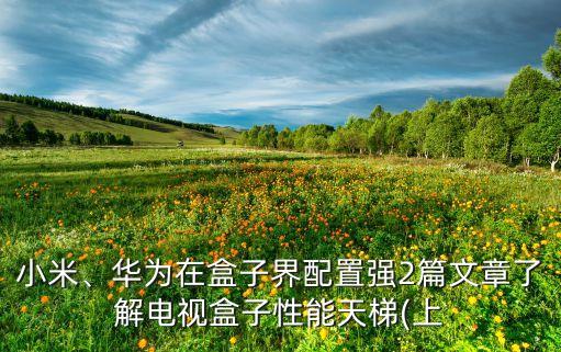 小米、華為在盒子界配置強2篇文章了解電視盒子性能天梯(上