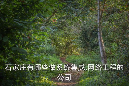 石家莊有哪些做系統(tǒng)集成,網(wǎng)絡(luò)工程的公司