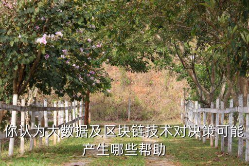 你認(rèn)為大數(shù)據(jù)及區(qū)塊鏈技術(shù)對決策可能產(chǎn)生哪些幫助