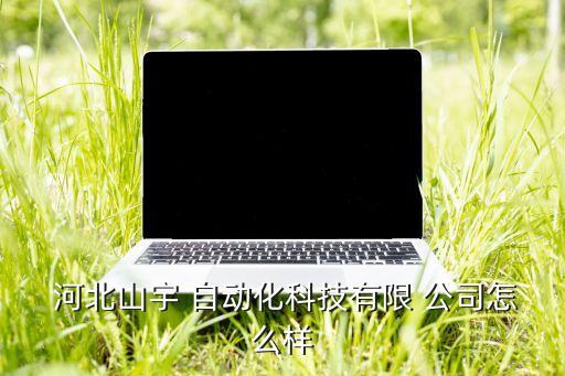  河北山宇 自動(dòng)化科技有限 公司怎么樣