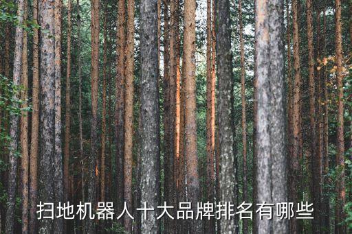 掃地機器人十大品牌排名有哪些