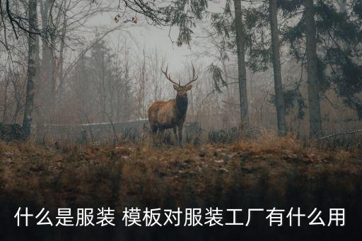 什么是服裝 模板對服裝工廠有什么用