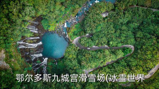 鄂爾多斯助九自動化公司
