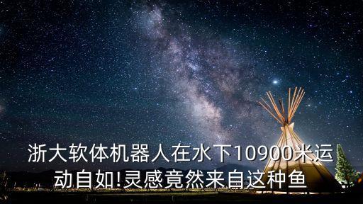 水下機(jī)器人材料,水上機(jī)器人有何用處?