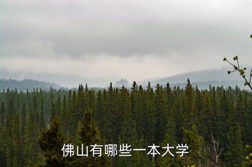佛山有哪些一本大學