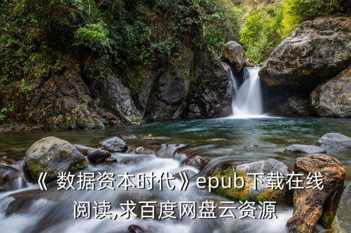 《 數(shù)據(jù)資本時(shí)代》epub下載在線閱讀,求百度網(wǎng)盤云資源