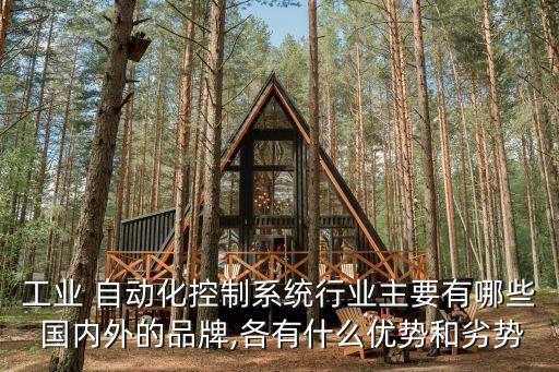 工業(yè) 自動(dòng)化控制系統(tǒng)行業(yè)主要有哪些 國內(nèi)外的品牌,各有什么優(yōu)勢和劣勢