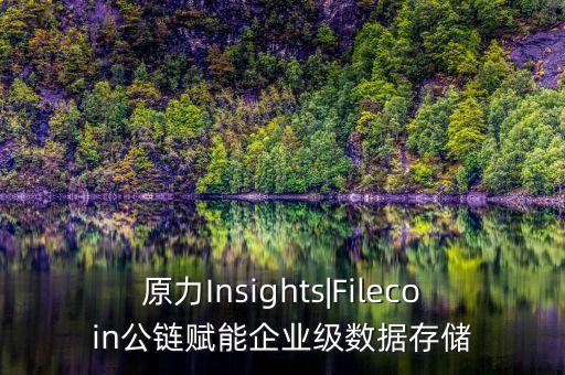 原力Insights|Filecoin公鏈賦能企業(yè)級數(shù)據(jù)存儲