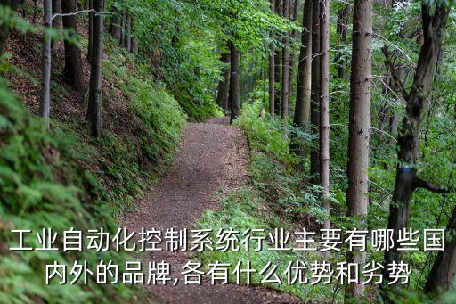 潛江工業(yè)自動(dòng)化設(shè)備,工業(yè)自動(dòng)化前景怎么看?