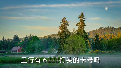 工行有 6222打頭的卡號嗎