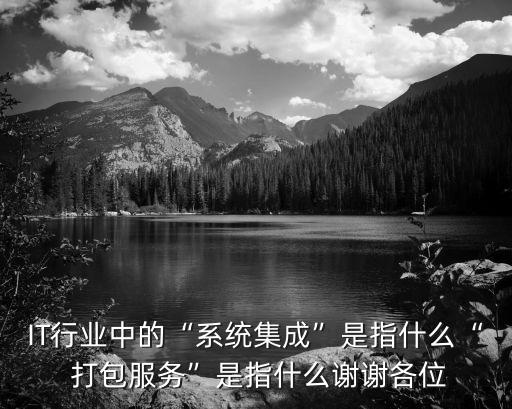 IT行業(yè)中的“系統(tǒng)集成”是指什么“ 打包服務”是指什么謝謝各位