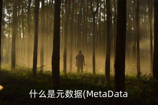 什么是元數(shù)據(jù)(MetaData