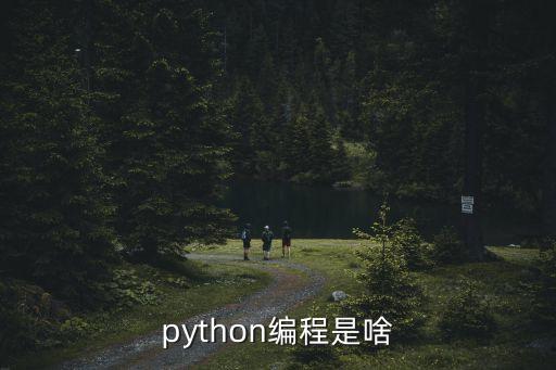 python編程是啥