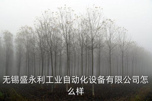 無錫盛永利工業(yè)自動化設(shè)備有限公司怎么樣