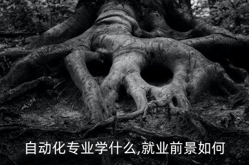 鵬和自動化設(shè)備圖片,電氣自動化專業(yè)學(xué)什么?