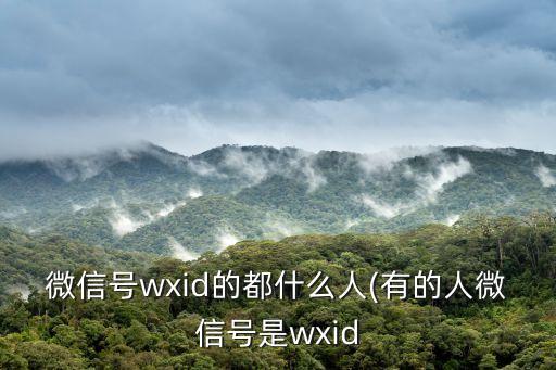 微信號(hào)wxid的都什么人(有的人微信號(hào)是wxid