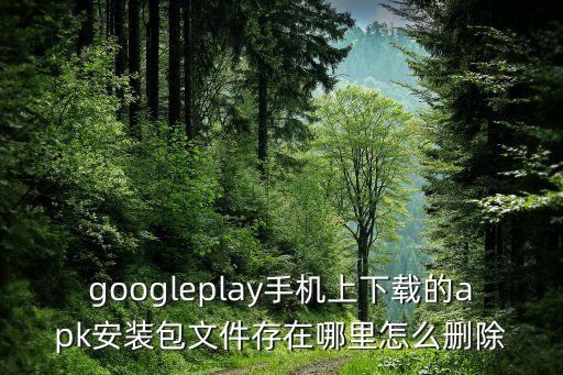 googleplay手機(jī)上下載的apk安裝包文件存在哪里怎么刪除