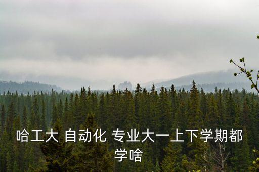 哈工大 自動(dòng)化 專業(yè)大一上下學(xué)期都學(xué)啥