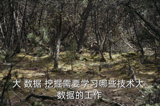 數據挖掘需要學什么