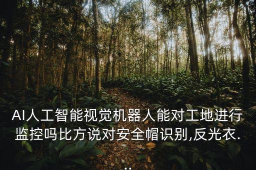AI人工智能視覺機器人能對工地進行監(jiān)控嗎比方說對安全帽識別,反光衣...