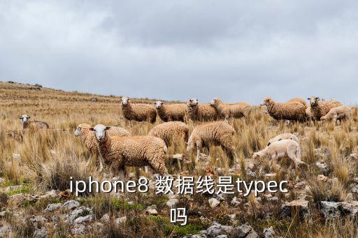 蘋果8數(shù)據(jù)線有代碼嗎,蘋果14數(shù)據(jù)線是什么接口