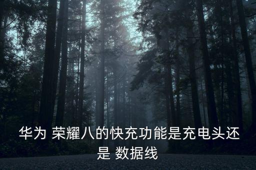  華為 榮耀八的快充功能是充電頭還是 數(shù)據(jù)線