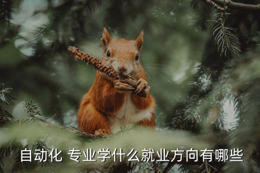 自動(dòng)化專業(yè)熱點(diǎn)有哪些