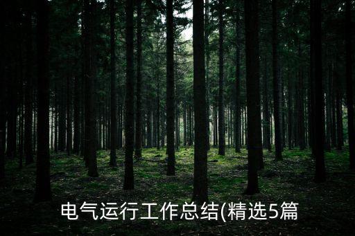 電氣運(yùn)行工作總結(jié)(精選5篇