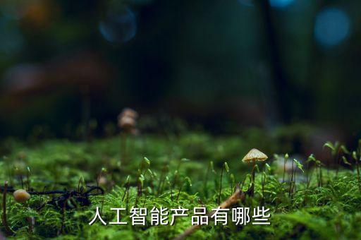 人工智能產品有哪些