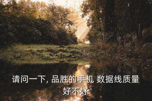 請問一下, 品勝的手機 數(shù)據(jù)線質(zhì)量好不好
