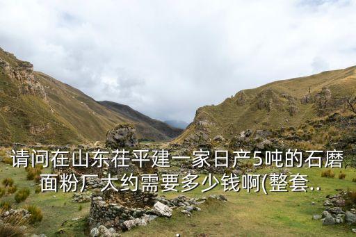 請問在山東茌平建一家日產(chǎn)5噸的石磨 面粉廠大約需要多少錢啊(整套...