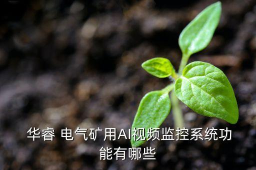  華睿 電氣礦用AI視頻監(jiān)控系統(tǒng)功能有哪些