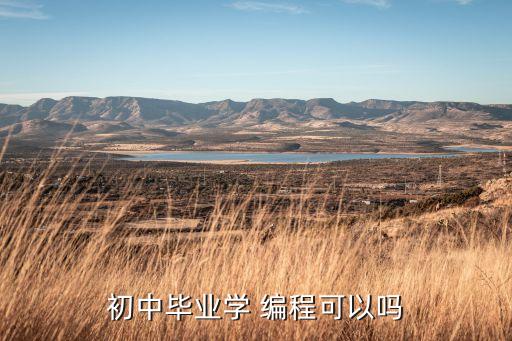 初中畢業(yè)學(xué) 編程可以嗎