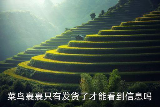 菜鳥裹裹只有發(fā)貨了才能看到信息嗎
