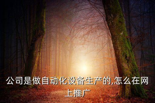 公司是做自動化設(shè)備生產(chǎn)的,怎么在網(wǎng)上推廣