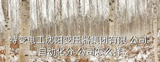 特變電工沈陽變壓器集團有限 公司 自動化分 公司怎么樣
