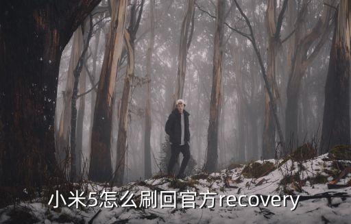 小米5怎么刷回官方recovery