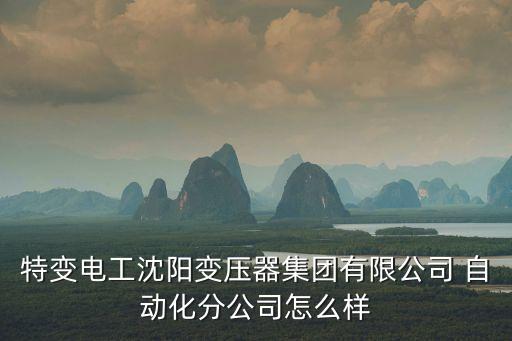 特變電工沈陽變壓器集團有限公司 自動化分公司怎么樣