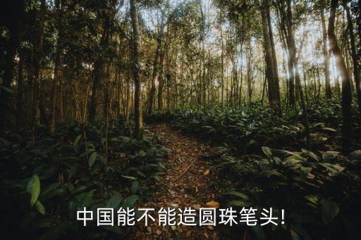 中國(guó)能不能造圓珠筆頭!