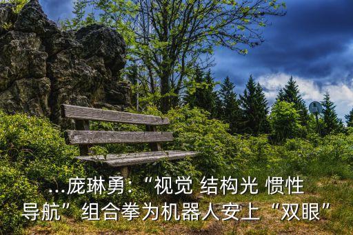 ...龐琳勇:“視覺(jué) 結(jié)構(gòu)光 慣性導(dǎo)航”組合拳為機(jī)器人安上“雙眼”