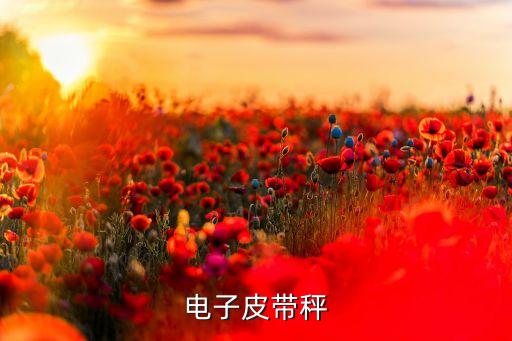 電子皮帶秤